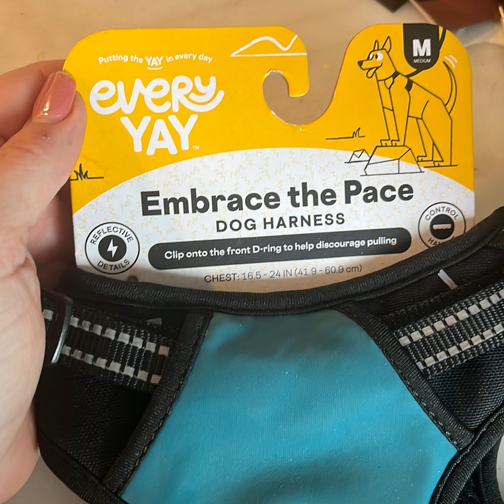New teal Medium dog Harness